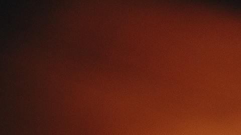 Gato negro incendio basura viral