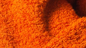 El estudio develó que la gran cantidad de ftalatos en la sangre materna y el condón umbilical en algunas madres, podría ser nociva para el aparato reproductor masculino y la reproducción.