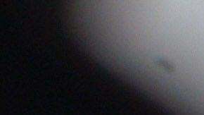 Hija de migrantes indígenas estudiará en Harvard