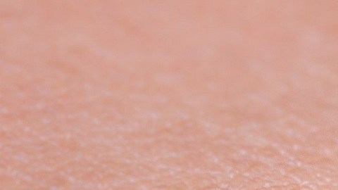 mosquito malaria