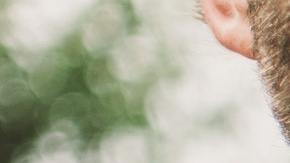 Novio llega a boda equivocada