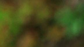 Podrás conservar el tercer cheque de estímulo de un familiar que falleció-pexels-pixabay-271168.jpeg