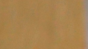 Padre Cheke sacerdote viral TikTok