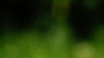 Serpiente inodoro baño