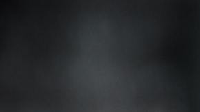 El ejemplar de serpiente cabeza pálida asomó entre dos plantas de lechuga que una pareja de Australia había comprado en un supermercado de la cadena ALDI.