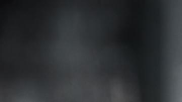 El ejemplar de serpiente cabeza pálida asomó entre dos plantas de lechuga que una pareja de Australia había comprado en un supermercado de la cadena ALDI.