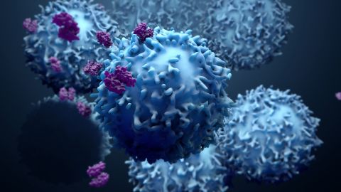 Célula de cáncer