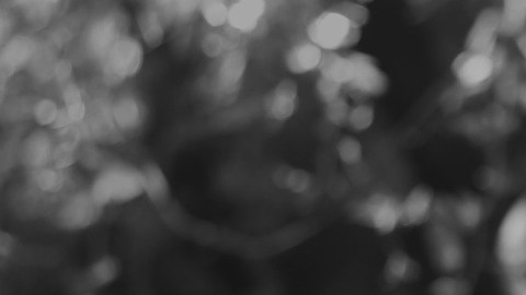 Latinas priorizan salud mental.