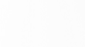 Sumo Citrus es una fruta híbrida con una gran dulzura.