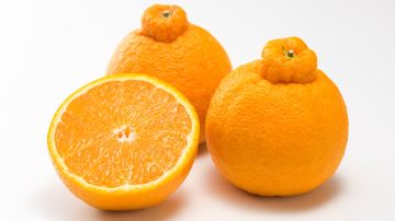 Qué es Sumo Citrus, la nueva fruta más mimada del mundo que está atrayendo  consumidores - El Diario NY
