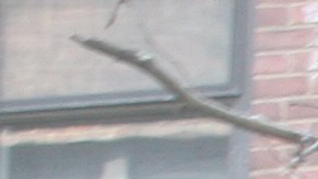 Los patrones deben por ley dotar a los trabajadores de equipos especiales de protección.