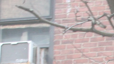 Los patrones deben por ley dotar a los trabajadores de equipos especiales de protección.