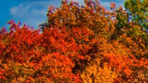 La propuesta incluye un año de actividades al aire libre gratuitas que incluye rafting, escalada en roca, tirolesa, golf y esquí.