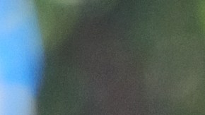 Niña de Chicago se hace viral por fotos con traje típico mexicano