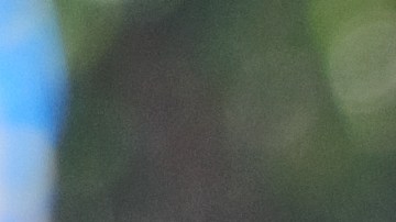 Niña de Chicago se hace viral por fotos con traje típico mexicano