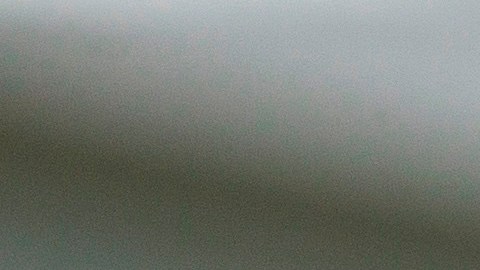 Joe Biden Casa Blanca