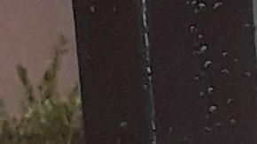 Cruzada pidiendo "más impuestos a los ricos" de NY.