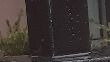 Cruzada pidiendo "más impuestos a los ricos" de NY.