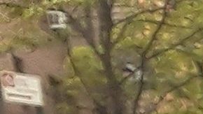 Policía estatal de Nueva York (NYSP).