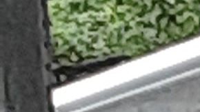 Ambulancia y paramédico de FDNY/Archivo.