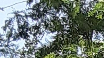 Mesas en aceras y calles de NYC.