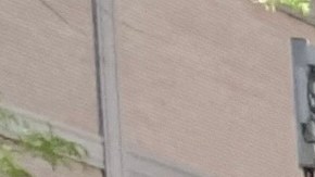 Dianne Morales: "El pueblo está harto y conmigo ve un cambio para NY"