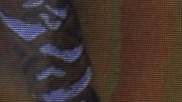 Alejandra Guzmán, mamá de Frida Sofía.