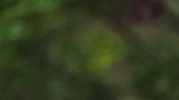 El oficial Anastasios Tsakos falleció hace una semana arrollado por mujer que conducía en estado de ebriedad.