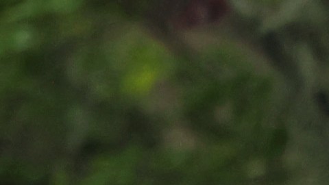 El oficial Anastasios Tsakos falleció hace una semana arrollado por mujer que conducía en estado de ebriedad.