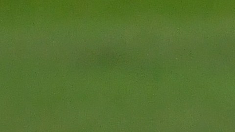 Se suspende el fútbol en Argentina hasta final de mes