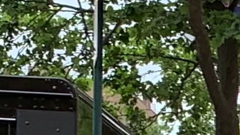 Anuncian que escuelas de Nueva York serán 100% presenciales desde septiembre