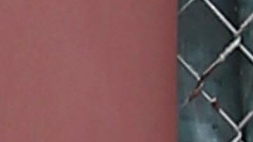 Loni Willson fue una modelo famosa en Hollywood y ahora deambula por las calles de Los Ángeles. /The Grosby Group