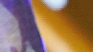 Chiquis Rivera explotó el escenario del concierto del Latin Grammy "Ellas y su Música" transmitido por Univision. La hija de Jenni Rivera demostró ser ya toda una diva de la música regional mexicana con su talento y belleza.