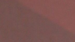 Chiquis Rivera se bajó el pantalón y se subió la camisa para mostrar su cinturita de abeja.