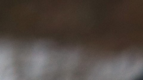 Los estudiantes ya no tendrán días libres para disfrutar de las nevadas. Ahora el clima severo no cancelará el aprendizaje y, en cambio, se cambiará a la instrucción remota.