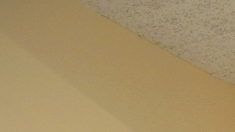 Suspenden el uso de mascarillas en las escuelas de Florida