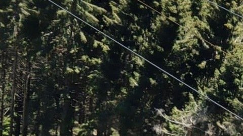 Italia, se desplomó cabina de teleférico