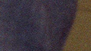 Diana, la princesa de Gales, era también conocida como Lady Di.