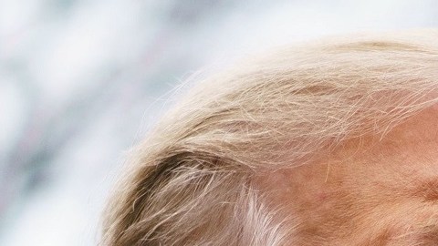 Fiscal de Nueva York citará a Trump para cuestionarlo sobre fraude de sus empresas