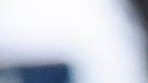 Diego Armando Maradona