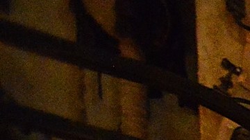 Podrías entrenar con el verdadero sable láser de Star Wars hospedando en el nuevo hotel Galactic Starcruiser de Disney-GettyImages-1170574973.jpeg