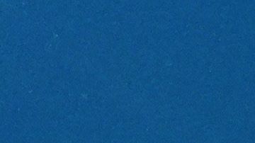 Una colosal escultura de un calamar causa un gran revuelo en Japón-GettyImages-1171045295.jpeg