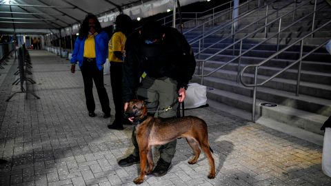 Perros detectan coronavirus Florida