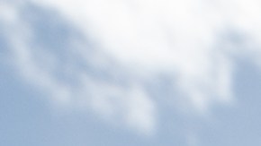 Protesta Breonna Taylor BLM Kentucky