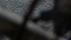 Carcel de Guaynabo Felix Verdejo