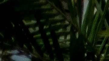 Residencial Villa Esperanza Keishla Rodriguez