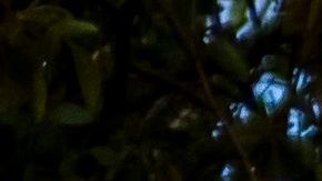 Asesinato Keishla Rodriguez Puerto Rico Felix Verdejo