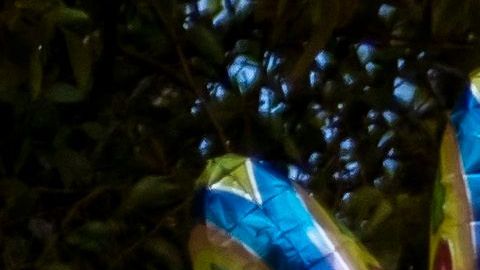 Asesinato Keishla Rodriguez Puerto Rico Felix Verdejo