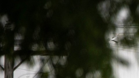 La empresa hizo el pago a "hackers" que bloquearon sistema de distribución de combustible.