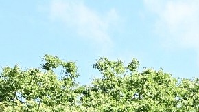 El presidente Biden lideró la ceremonia por el Memorial Day.